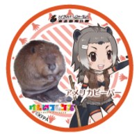 アメリカビーバーの缶バッジ。