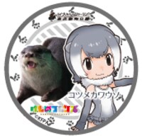 コツメカワウソの缶バッジ。