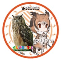 ワシミミズクの缶バッジ。