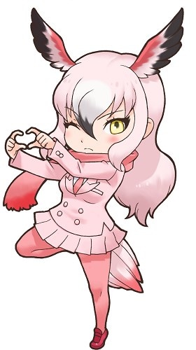 パネルに使用されているオオフラミンゴのイラスト。