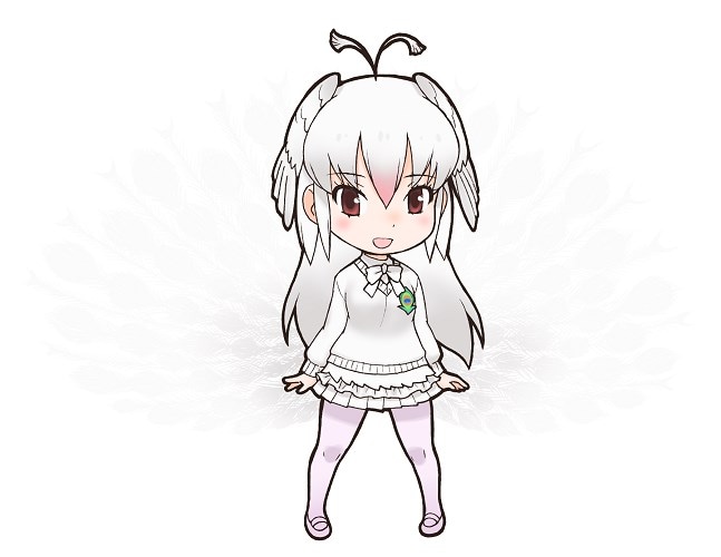 パネルに使用されているシロクジャクのイラスト。