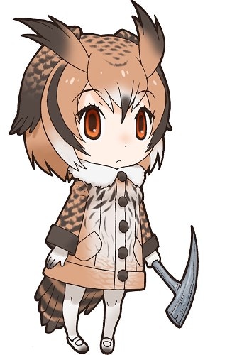 パネルに使用されているワシミミズクのイラスト。