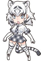 パネルとしてお目見えするホワイトタイガー。