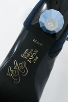 大和守安定モデル