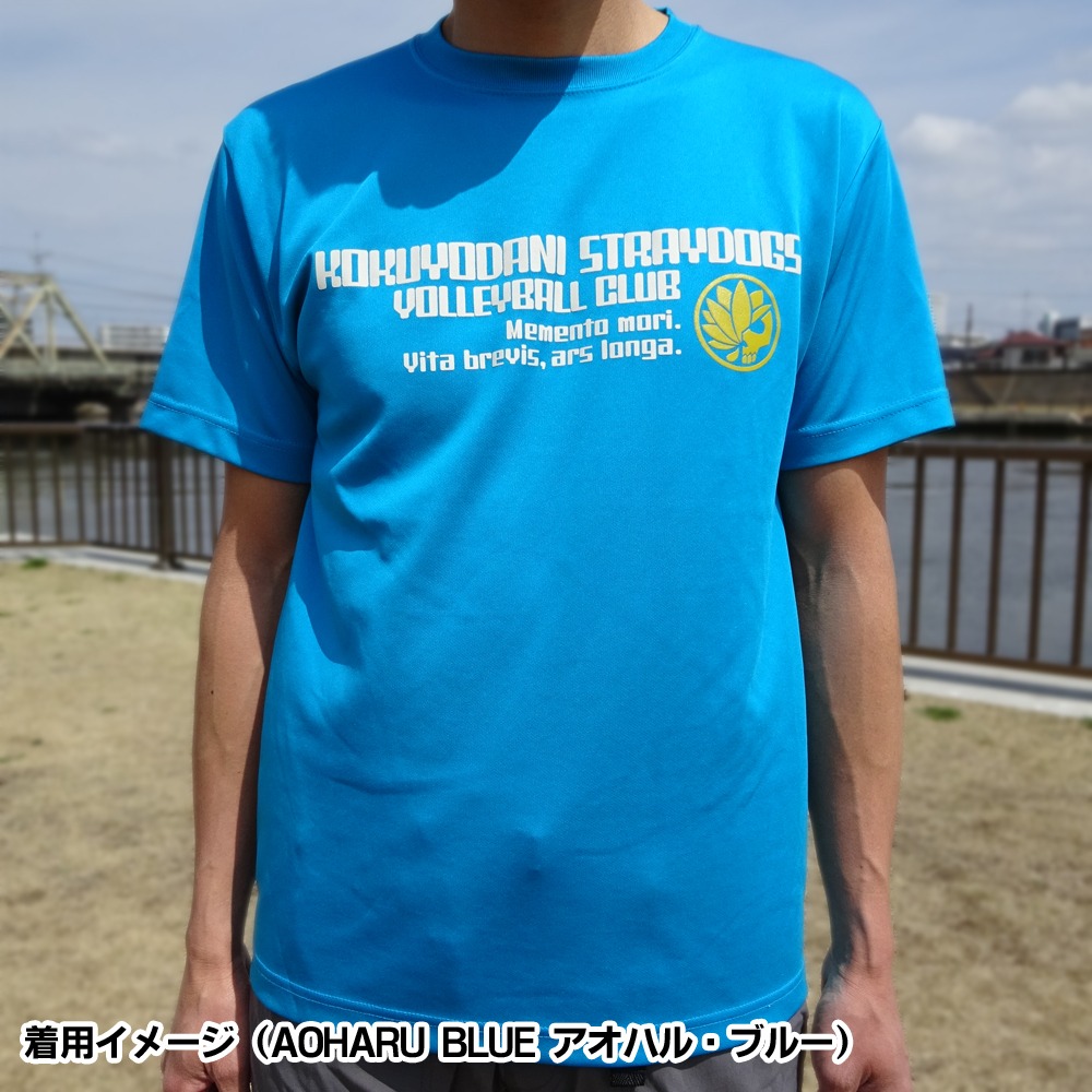 着用イメージ
