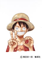 「ONE PIECE」のカラーカット。