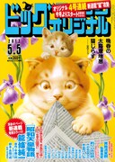 ビッグコミックオリジナル9号