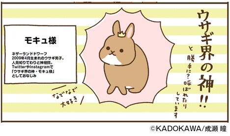 「YES！モキュ様、神ってる！」より。