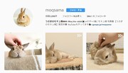 モキュ様のInstagramアカウント。