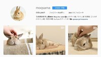 モキュ様のInstagramアカウント。
