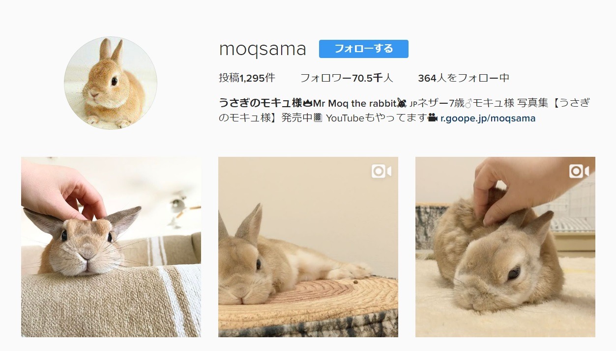 モキュ様のInstagramアカウント。