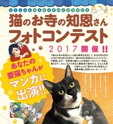 「猫のお寺の知恩さんフォトコンテスト」の告知ページ。