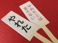 「やれたかも札」のイメージ。