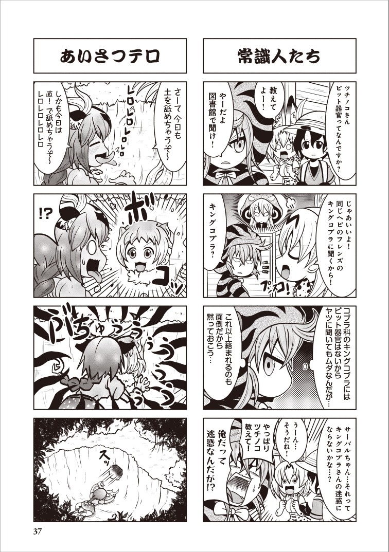 堀口レオ「イワトビペンギン」より。