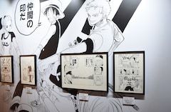 One Piece ライブショー明日開幕 歌姫の声は早見沙織 ステージナタリー