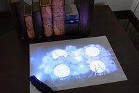 メイキングコーナーでは、羽根ペンでお気に入りのキャラクターをタッチ。