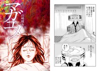 山崎峰水「マガユメ」