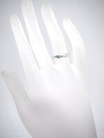 エレンをモチーフにしたシルバーリングの着用例。