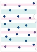 初回限定生産豪華版の予約特典としてプレゼントされるクリアファイル（表）。