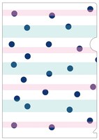 初回限定生産豪華版の予約特典としてプレゼントされるクリアファイル（表）。