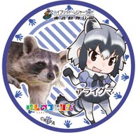 5月20日に販売が開始されるアライグマの缶バッジ。