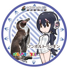 5月20日に販売が開始されるフンボルトペンギンの缶バッジ。