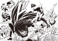 「スクラップド・プリンセス」1巻より。