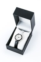 長曽祢虎徹モデル