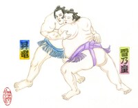 「両国花錦闘士」カット