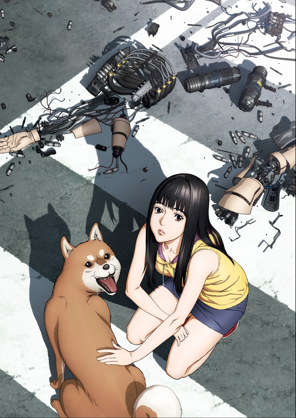 アニメ「いぬやしき」メインビジュアル。