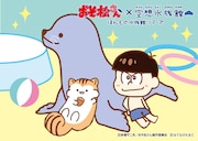 カラ松とらっこリスとアシカ。