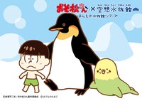 チョロ松とオットセインコとペンギン。