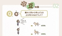 「ごきげんわんこの平休日」より。