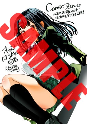 COMIC ZIN特典
