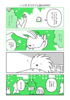 ハリネズミカフェHARRYとのコラボマンガ。