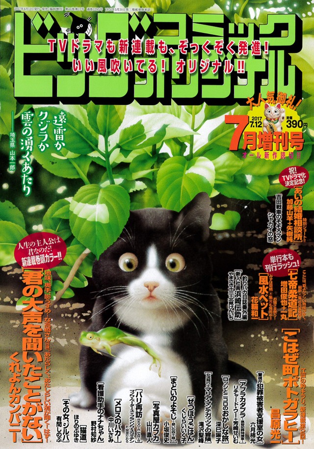 ビッグコミックオリジナル7月増刊号