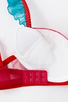 アンシーモデル