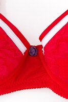 アンシーモデル