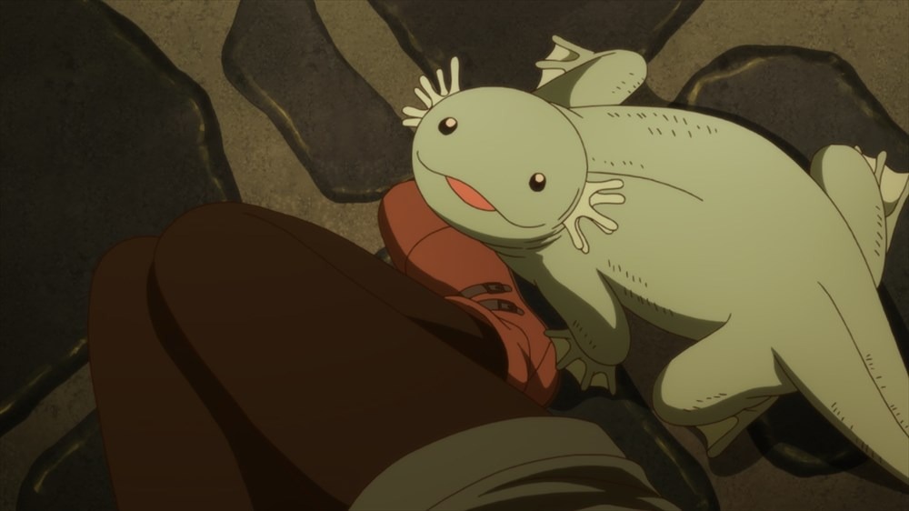 テレビアニメ「魔法使いの嫁」場面カット