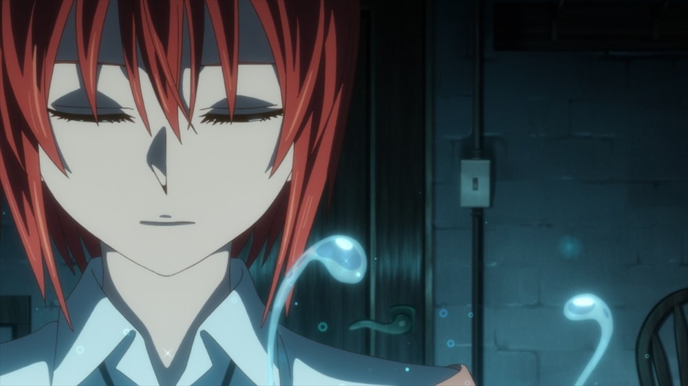 テレビアニメ「魔法使いの嫁」場面カット