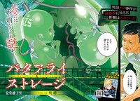 安堂維子里「バタフライ・ストレージ」扉ページ