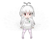キャラクターパネルに使用されるシロクジャクのイラスト。