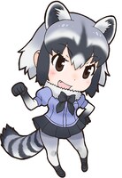 キャラクターパネルに使用されるアライグマのイラスト。