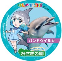 バンドウイルカの缶バッジ。※デザインは製作中のもの