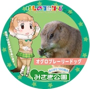 オグロプレーリードッグの缶バッジ。※デザインは製作中のもの