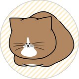 「鴻池剛と猫のぽんた ニャアアアン！ クッション まんまるぽんた」 ※画像はイメージ。