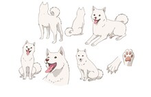 田村睦心演じるシロ。