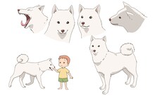 田村睦心演じるシロ。