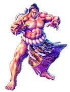 「横綱覇王伝説 稀勢の里」カット