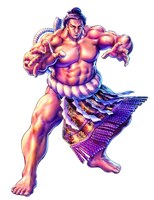 「横綱覇王伝説 稀勢の里」カット